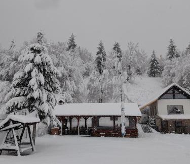 Harseni House | Pensiunea Andreea