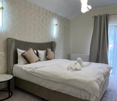 Teliu Hotel | Pensiunea Baroc