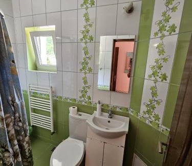 Sighisoara Apartment | Pensiunea Baron Aliando