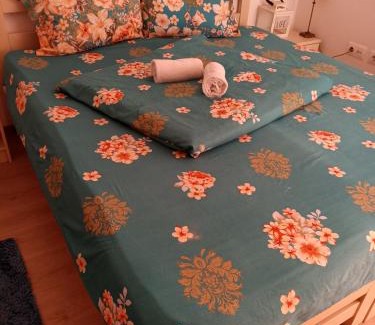 Sighisoara Apartment | Pensiunea Baron Aliando