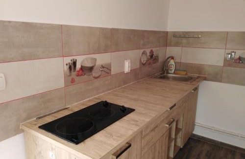 Razim Lake House | Pensiunea Burciu