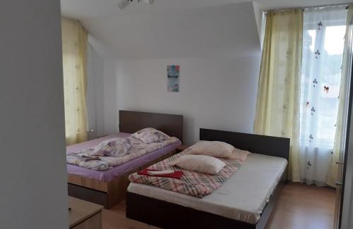 Toplita House | Pensiunea Casa Lircă