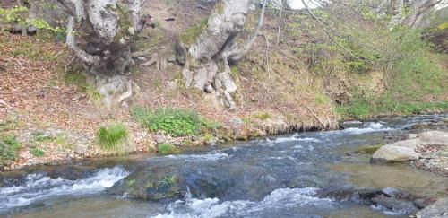 Cristian Bed & Breakfast | Pensiunea Elena