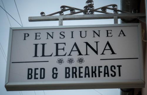 Orlat Bed & Breakfast | PENSIUNEA ILEANA "Adults Only"