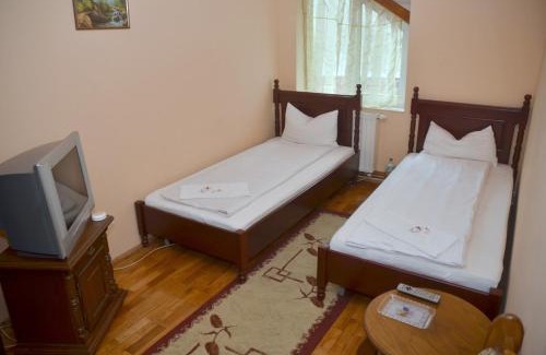 Baia Mare House | Pensiunea La Palaguta