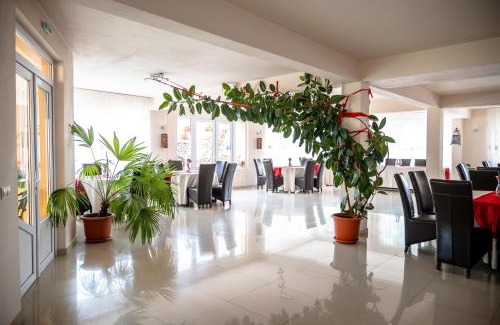 Ocna Sugatag House | Pensiunea Larisa