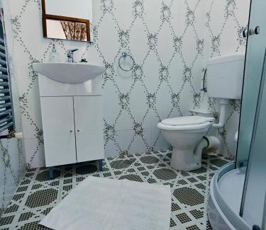 Sugag House | Pensiunea Silva Dobra