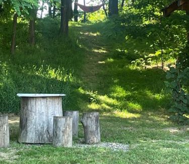 Cartisoara House | Pensiunea Sonia