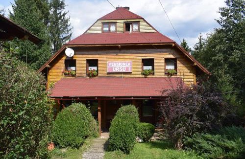 Borsa Villa | Pensiunea Ursu