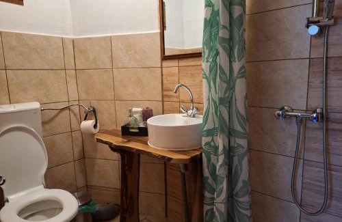 Borsa Villa | Pensiunea Ursu