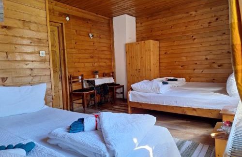 Borsa Villa | Pensiunea Ursu