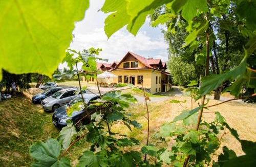 Stronie Slaskie Bed & Breakfast | Pensjonat Lew Jaskiniowy