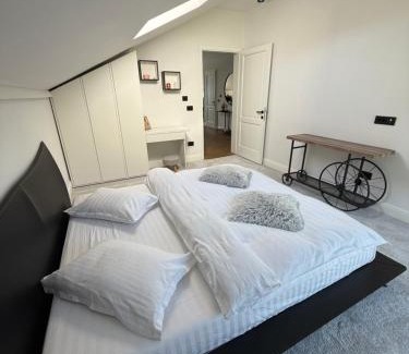 Bistrita Bargaului Apartment | Penthouse Colibița