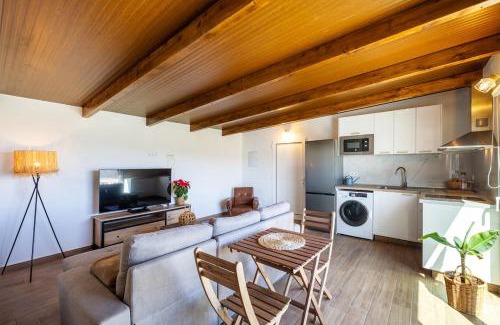 Santa Maria de Guia de Gran Canaria House | Penthouse with a View