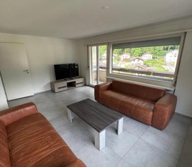 Erstfeld Apartment | Penthouse with incredible view