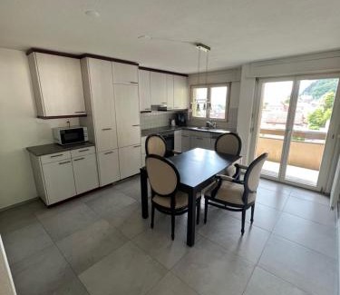 Erstfeld Apartment | Penthouse with incredible view