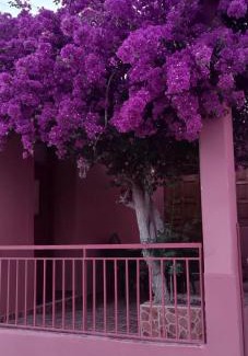 Perdhika House | Perdikaki