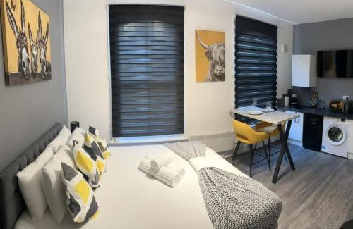 Hillrise Apartment | Perfect Studio Stay - Close to Underground