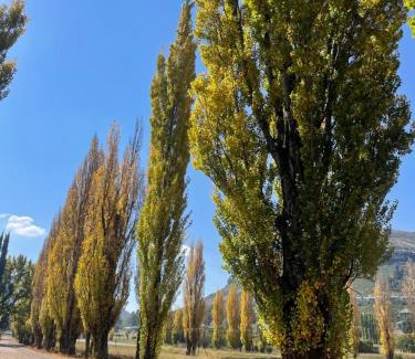 Clarens House | Periwinkle, Grove ,Acorn & Sage Cottages