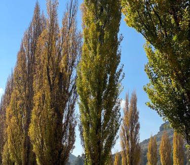 Clarens House | Periwinkle, Grove ,Acorn & Sage Cottages