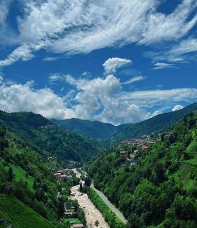 Cayirduzu Apartment | Perla garden suit