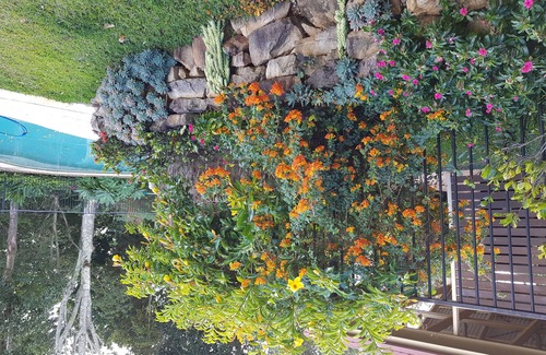 Duranbah Apartment | Pet Friendly - Adults Only, Tropical Coast Retreat, Kingscliff, Poolside Suite