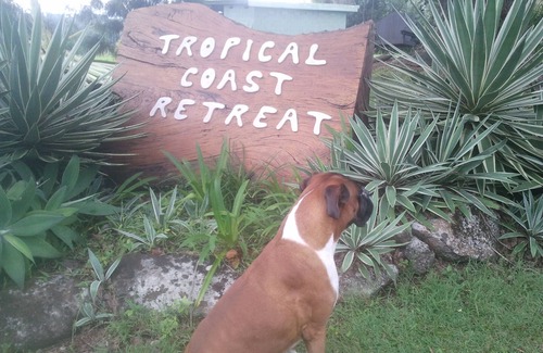 Duranbah Apartment | Pet Friendly - Adults Only, Tropical Coast Retreat, Kingscliff, Poolside Suite