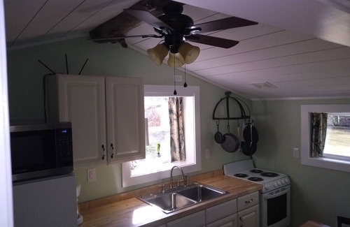 Brevard Cabin | Pet friendly Little House, Fire pit, paddle boat, 2 hammocks, porch swing, grill