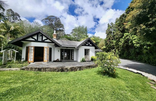 Mangonui House | Pet friendly Luxury Accommodation with private Pool and Jetty