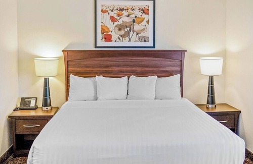 Rio Grande Hotel | Pet-Friendly Stay with Free Breakfast, Indoor Pool & Airport Shuttle Service