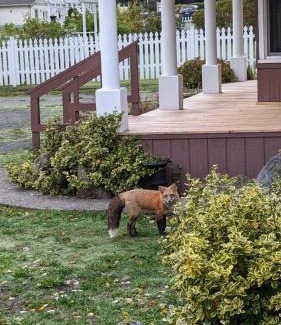 Friday Harbor House | Peter Jensen House