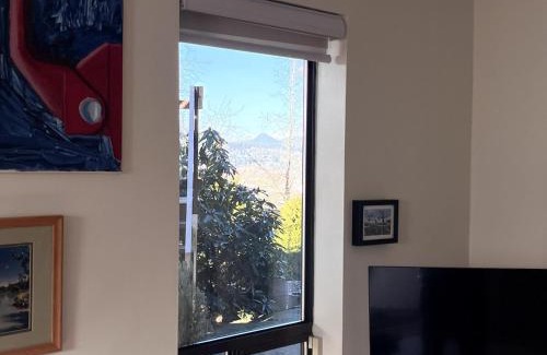 Vancouver Apartment | Peter's Place - Spacious 2Bed & Bath Suite