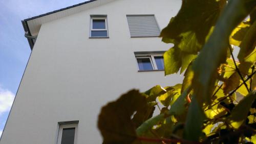 Baden-Baden House | Petite Bellevue II
