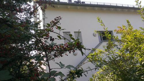 Baden-Baden House | Petite Bellevue II