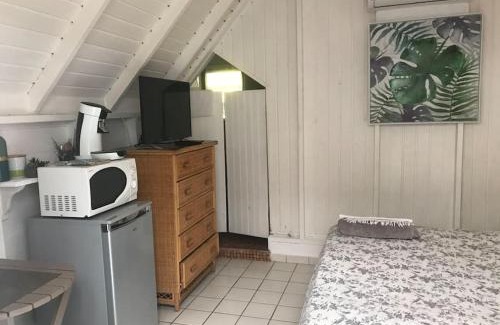 Marigot Apartment | Petite case créole au calme. Salle d'eau.