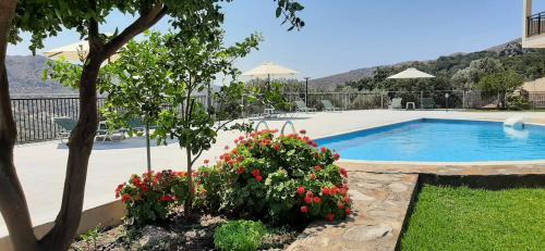 Petrokhorion Apartment | Petrochori ApartHotel