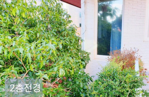 Mokpo House | Picasso Guesthouse