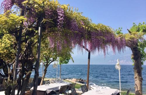 Magugnago Hotel | Piccolo Hotel Direkt am See