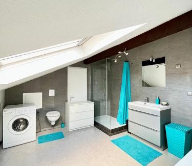 Sarrebourg Apartment | Pin's - Magnifique appartement