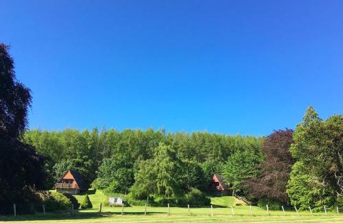 Fortrose House | Pine Lodge - Uk7049