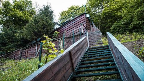 Brasov House | Pinewood Cabin