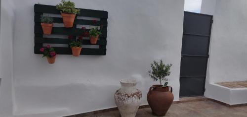 Reguengos de Monsaraz Villa | Pinheiro de Monsaraz-Casas da Colmeia T2