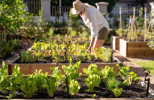 Franschhoek Villa | Pink Door Franschhoek by The Oyster Collection
