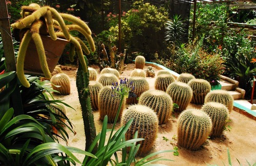 Tanah Rata Apartment | PKL Homestay Cameron Highlands