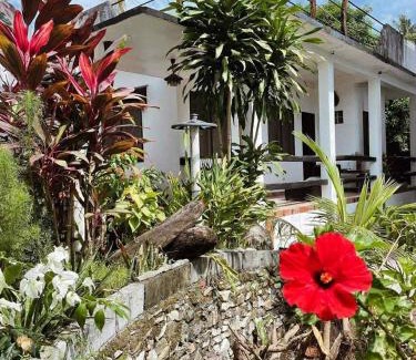 Puerto Galera Bed & Breakfast | Placido's Vacation Home