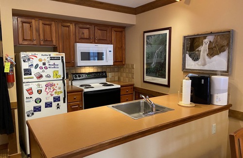 Snowshoe Condo | PLATINUM 1 Bedroom Village w/huge deck. Ski In/Ski Out "GREAT SPRING RATES"