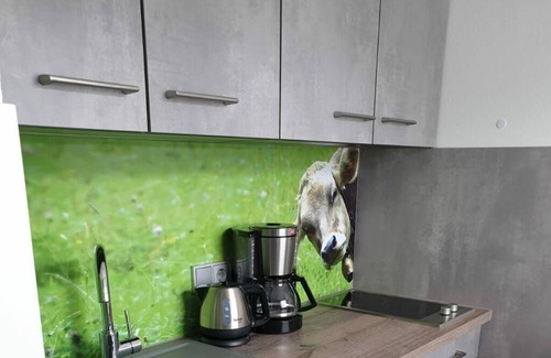 Verwaltungsgemeinschaft Hornergruppe Apartment | Pleasant apartment in Fischen