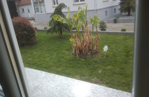 Schleithal Apartment | Pleasant & atypical apartment - renovated, wifi, fitness room, large garden