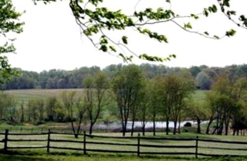 Darnestown House | Pleasant Cozy Airstream with Amazing Stargaze and Farm Views in Maryland