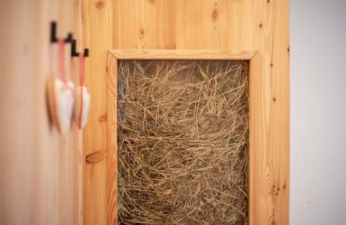 Fie allo Sciliar Apartment | Pliegermoar - Adults Only